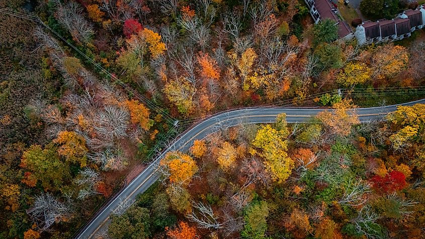 Curvy road in the fall foliage forest of East Stroudsburg, Pennsylvania.