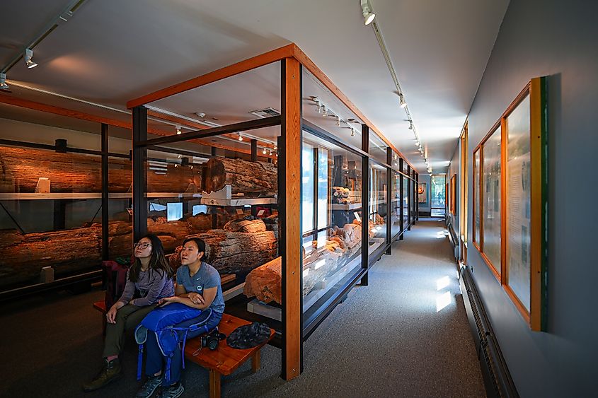 Editorial Photo Credit: Alexandre.ROSA via Shutterstock. Ketchikan, Alaska - August 26, 2023 : Glass displays in the Totem Heritage Center in Ketchikan, Alaska, USA