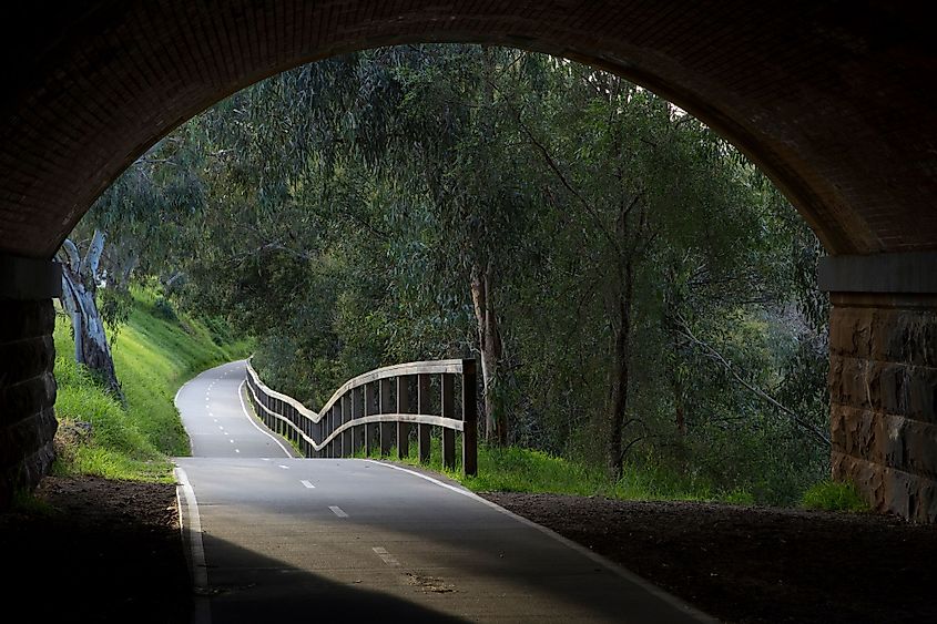 Main Yarra Trail along the banks of the Yarra River