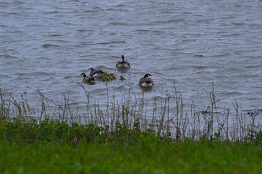 Scenery and wildlife and Audubon National Wildlife Refuge in North Dakota.