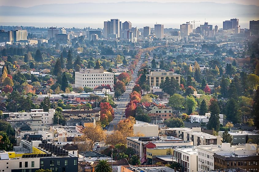 Aerial view of north Oakland on a sunny autumn evening