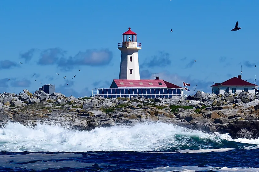 Machias Seal Island