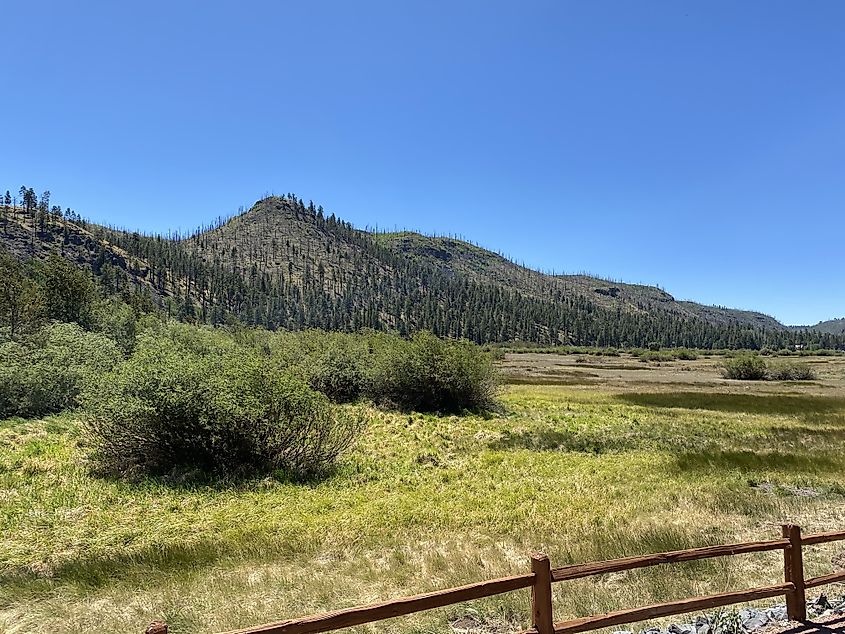 Nature scenery in Greer Arizona