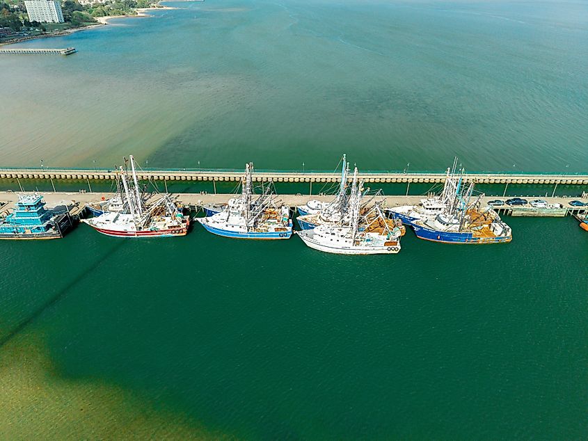 Commercial fishing trawlers docked at a pier.
