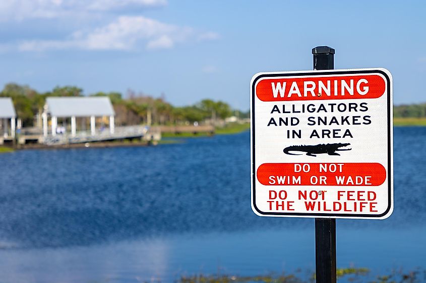 Sign warning about snakes and alligators in a Florida lake.