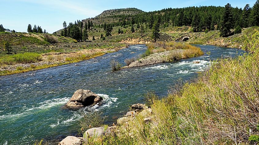 The Truckee River near Tahoe on a beautiful spring day