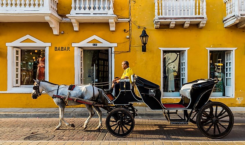 Cartagena horse carriage