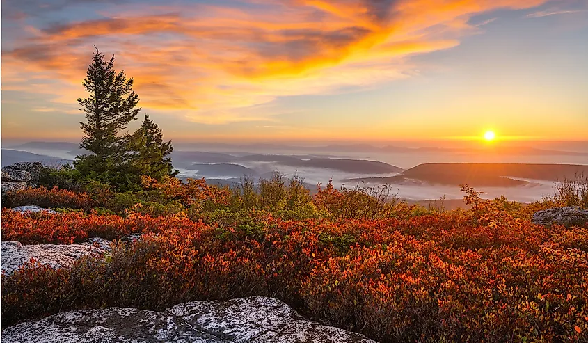 Sunrise over the Allegheny Front from Bear Rocks in the Dolly Sods Wilderness, West Virginia