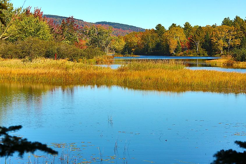 Magalloway River in autumn in the Umbagog National Wildlife Refuge in Errol, New Hampshire.