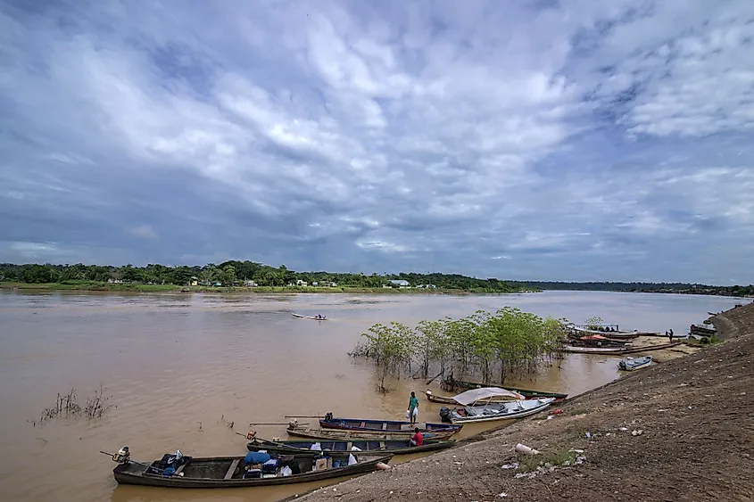 Purus River in Amazon Rainforest