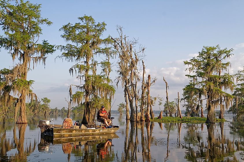 Fishing in Lake Martin, Louisiana