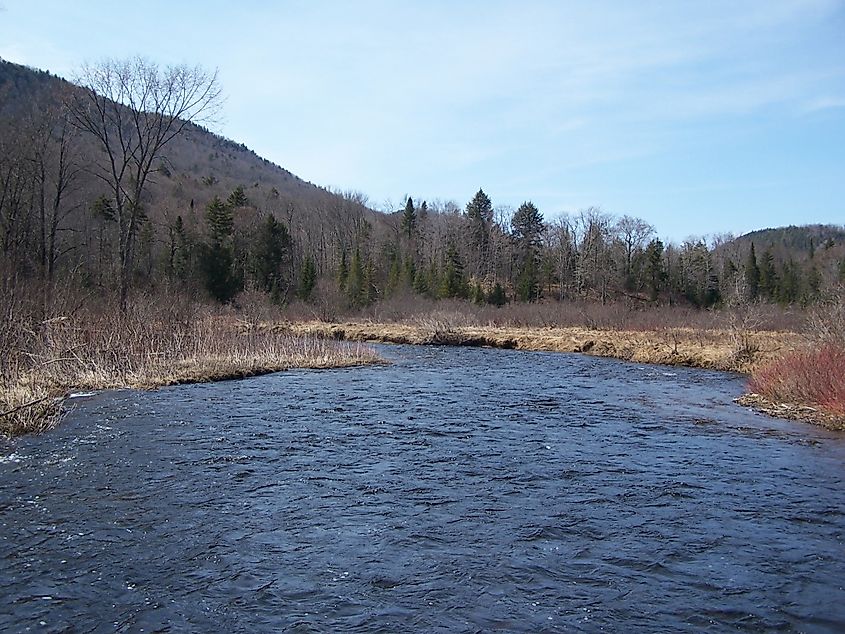 East Branch Sacandaga River Looking North Into Siamese Pond Wilderness