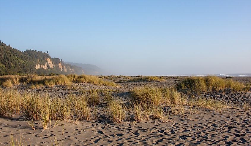 The Gold Bluffs Beach campground and dunes at Prairie Creek Redwoods State Park, California.