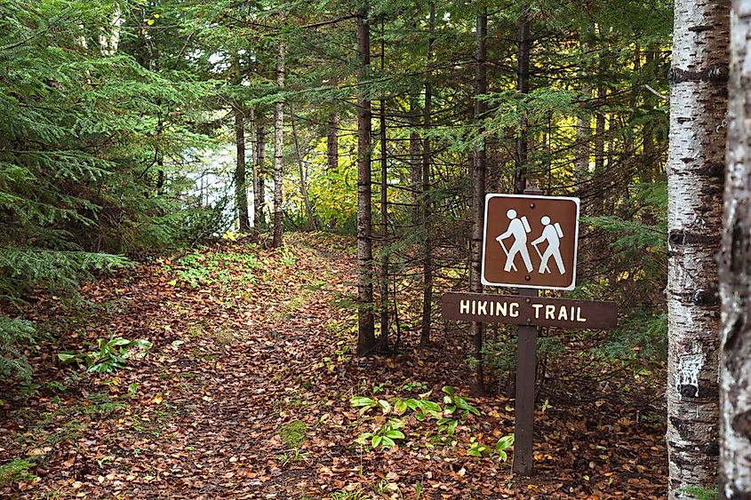Hiking trail around Divide Lake in the Superior National Forest of northern Minnesota.