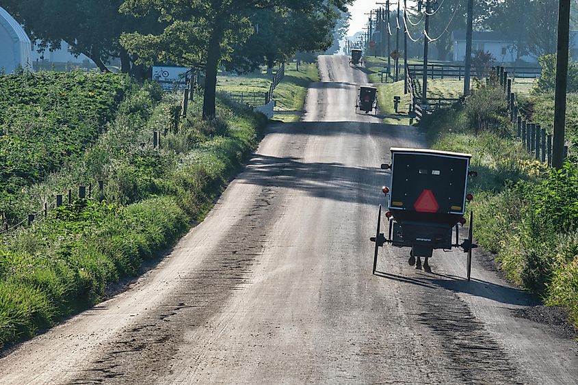 Amish buggies in Shipshewana, Indiana