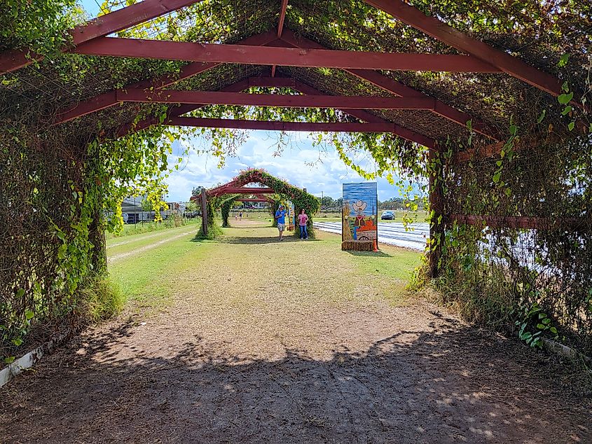 A fall day at a farm in Marble Falls, Texas