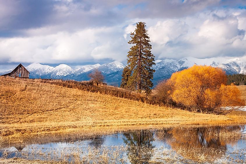 Barn and Swan Mountains Bigfork Montana