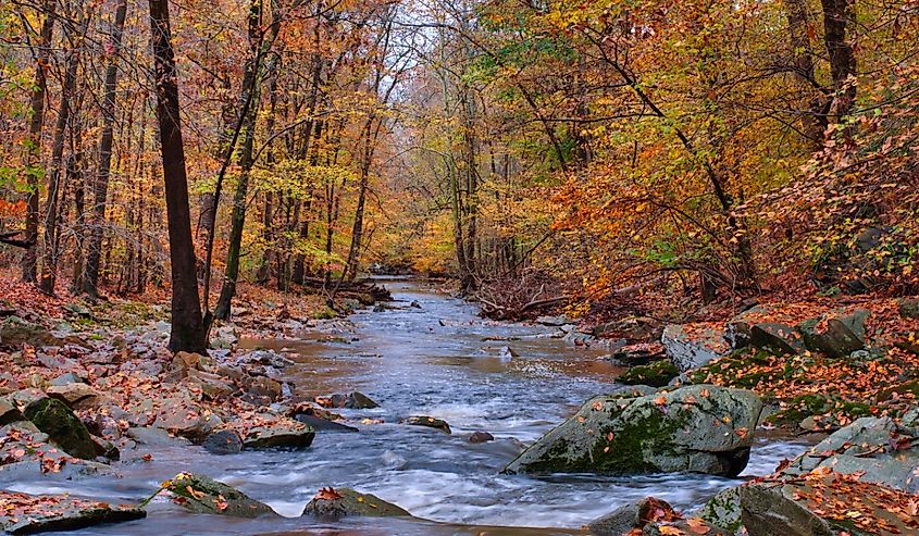 Bynum Run Creek in Bel Air, Maryland in the fall.