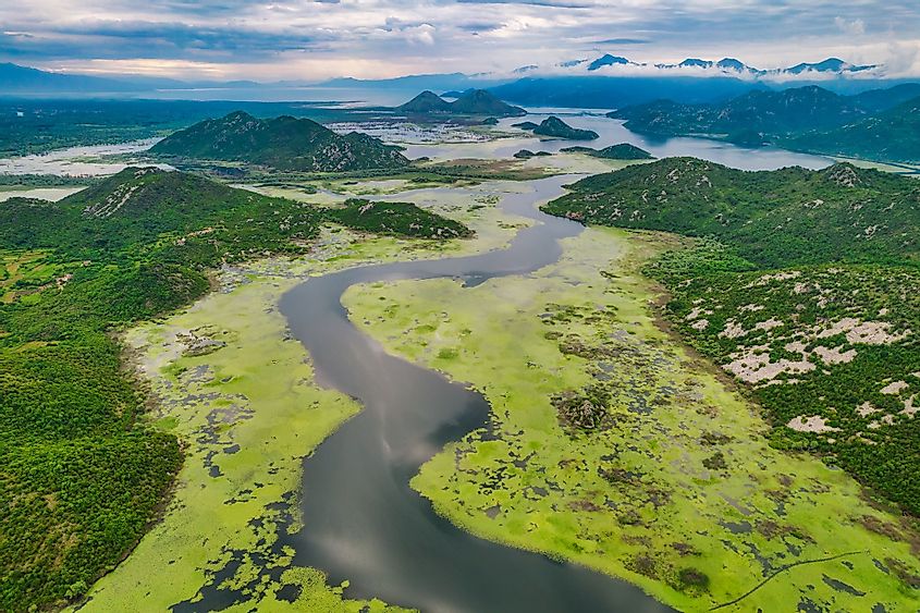 Amazing curves of the Skadar Lake in National Park in Montenegro. 