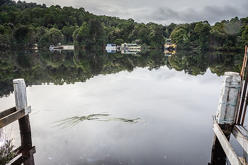 The Pieman River near the small holiday hamlet of Corinna, Tasmania, Australia