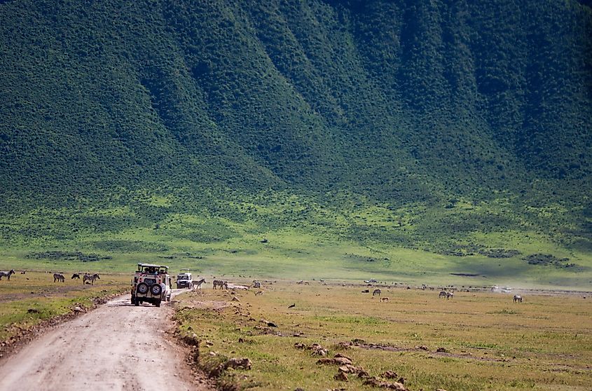 Ngorongoro crater, Ngorongoro national park