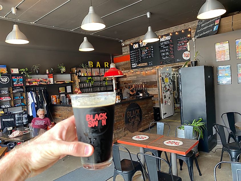 A POV of a porter beer from within Black Swan Brewing Co