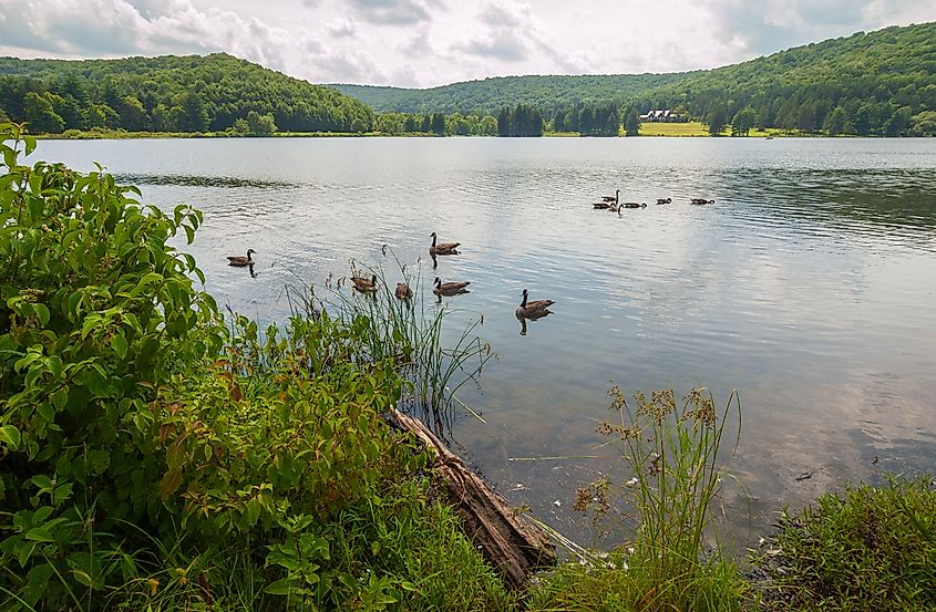 Quaker Lake Area at Allegany State Park in New York 