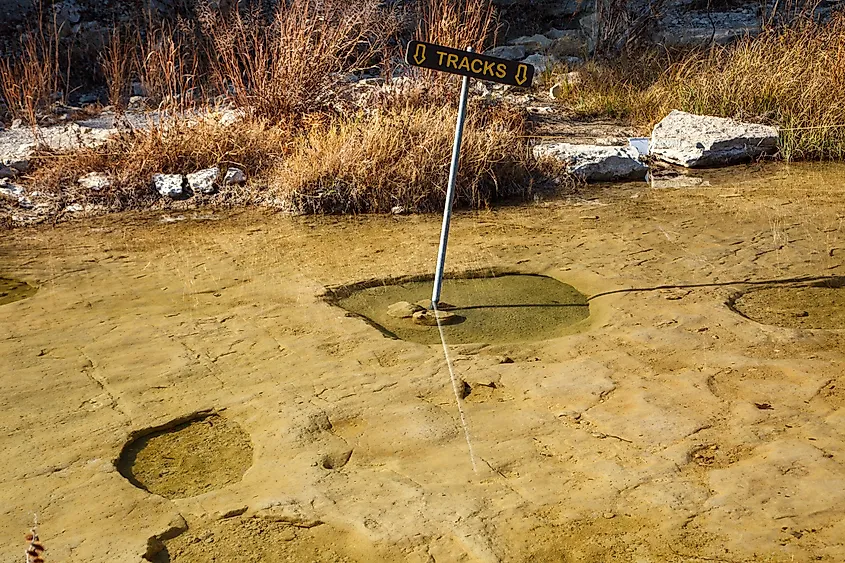 Dinosaur tracks along the hiking trails at Dinosaur Valley State Park in Glen Rose, Texas.