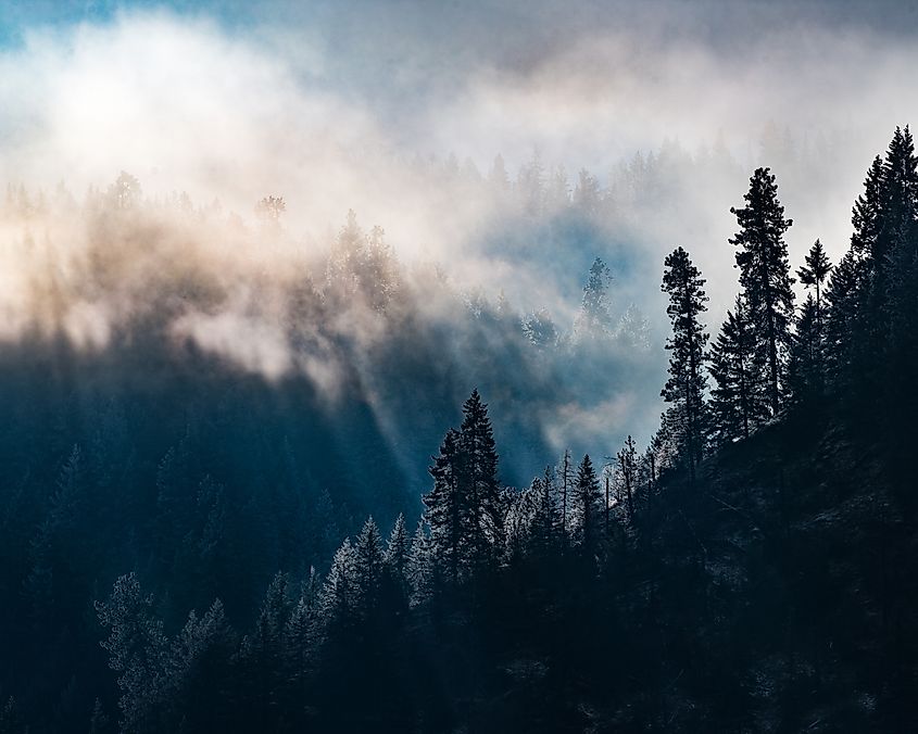 Idaho Panhandle National Forest.