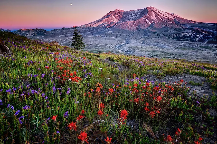 Mount St. Helens