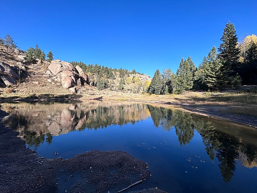 Reflection in a lake at Mueller State Park in Colorado.