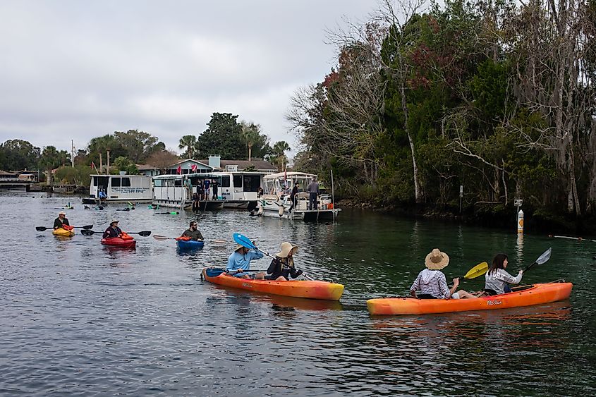 Three Sisters Springs in Crystal River, Florida