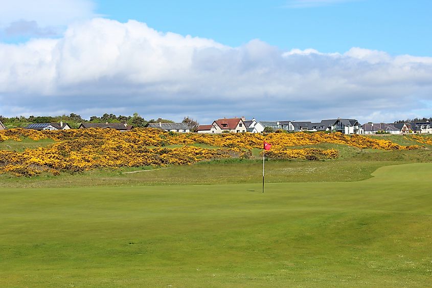 Golf in Dornoch, in the highlands of Scotland. Credit: christopher babcock / Shutterstock