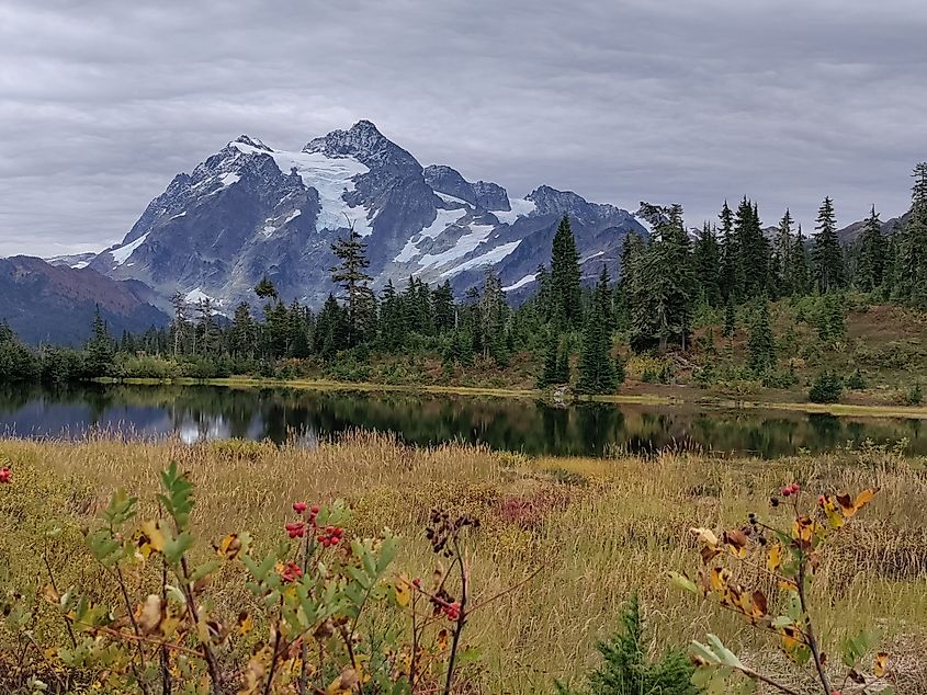 Scenic view taken in Mount Baker Snoqualmie National Forest, WA.