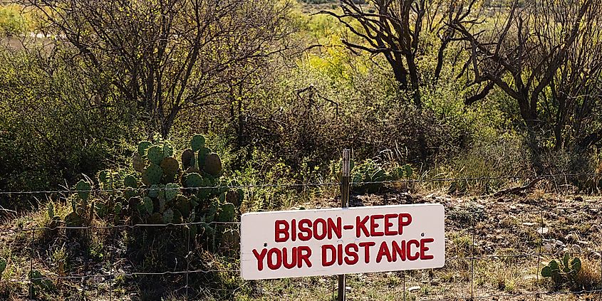 San Angelo State Park.