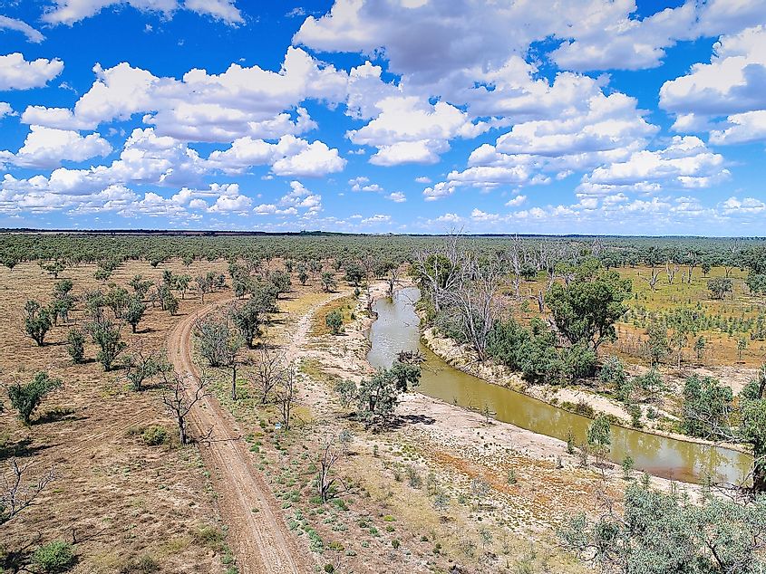 Murray River drought