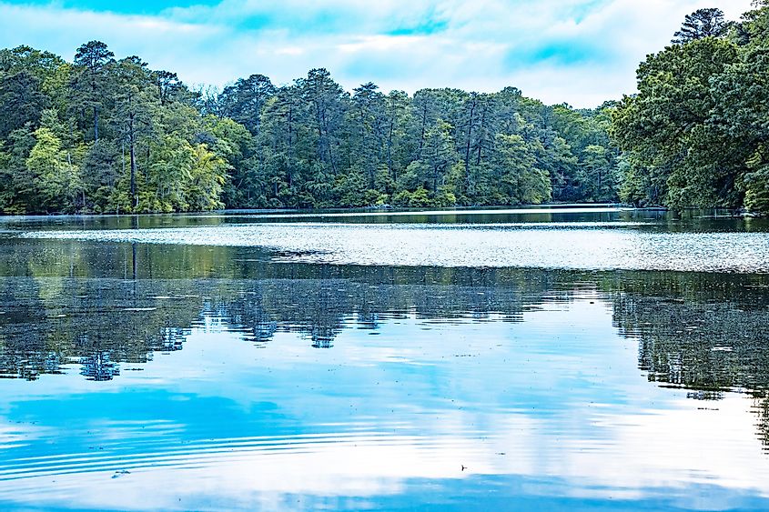 A beautiful landscape view of Lake Waterford Park, Pasadena, Maryland