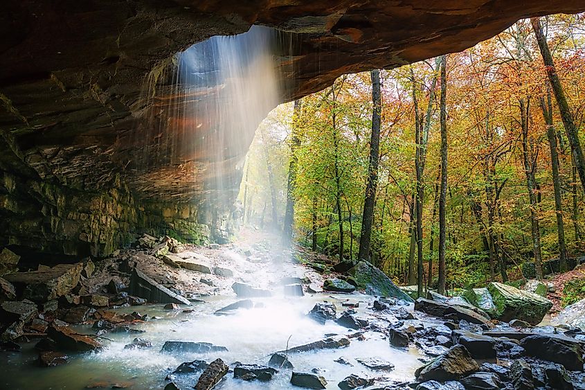 Sun rays go through a hole in the Ozark National Forest during Autumn.