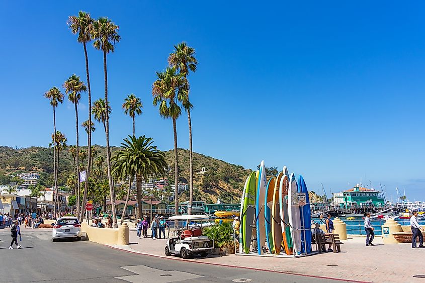 Waterfront view from Crescent Avenue in Avalon, California.