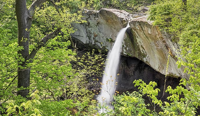 Williamsport Falls plunges from a channel carved a massive sandstone ledge.