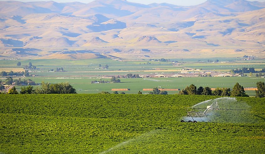 Rural farmland in the Treasure Valley outside of Boise, Idaho