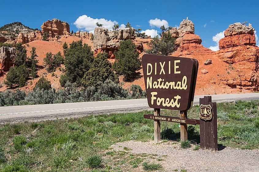 Sign for Dixie National Forest on Utah's Scenic Byway 12