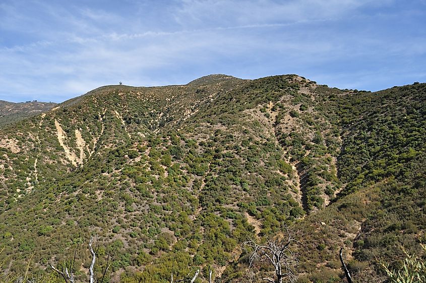 Montecito Peak, Los Padres National Forest, Santa Barbara County