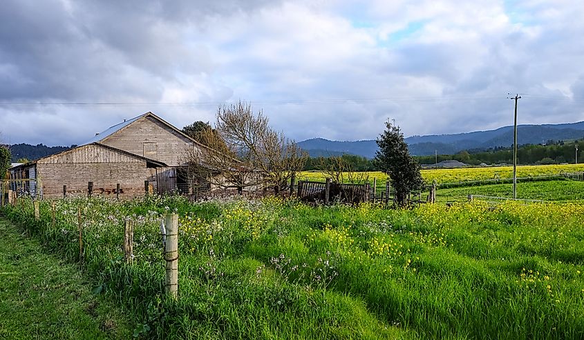 A remote farm house in the countryside of Fortuna, California