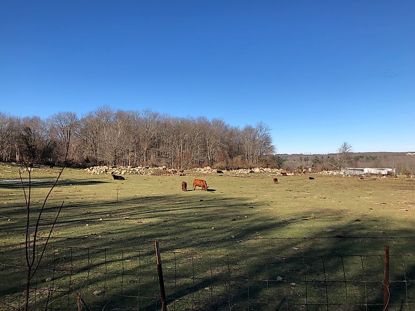The Wolf Hill Forest Preserve runs through Smithfield, Rhode Island.