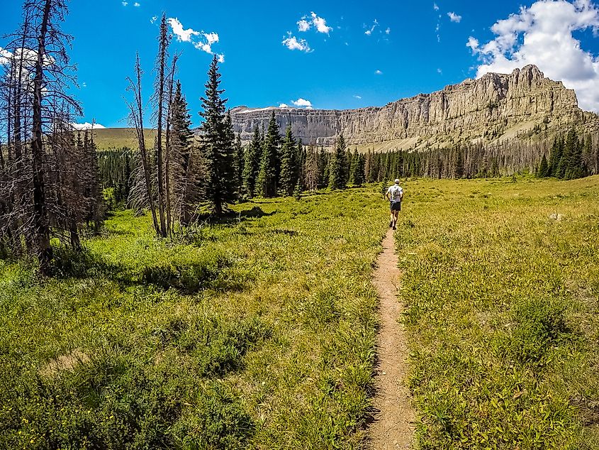 Bob Marshall Wilderness Complex, Montana