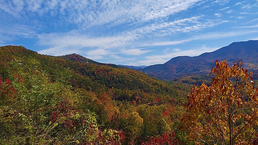 Early winter in Cosby, Tennessee.