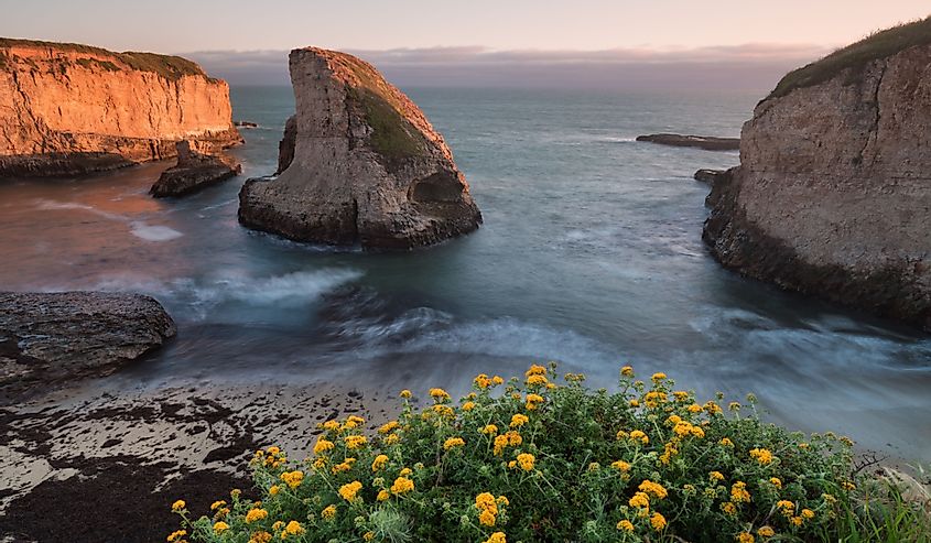 Sunset in California, waves and sun hitting these beautiful rock formations with flowers.