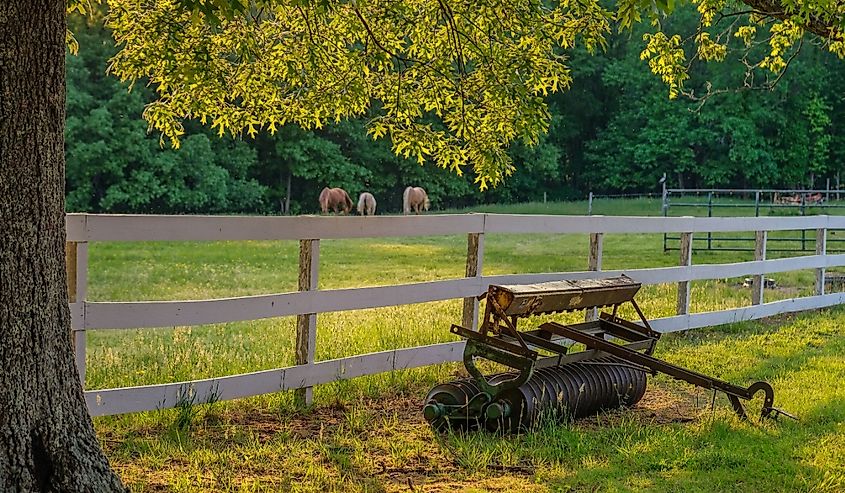 Farm scene in La Plata, Maryland.