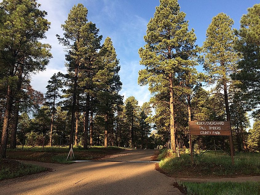 South Entrance to Tall Timbers County Park in Heber-Overgaard Arizona.